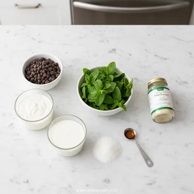 Mint Chocolate Chip Ice Cream - cooking process